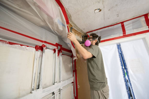 Best Airborne Mold Testing  in Vidalia, GA