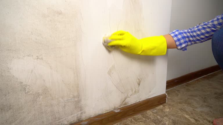 Best Post-Construction Mold Inspection  in Vidalia, GA