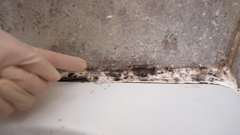 Best Mold Documentation for Insurance Claims  in Vidalia, GA